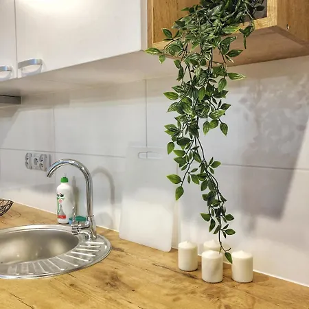 Fox Center Apartament *