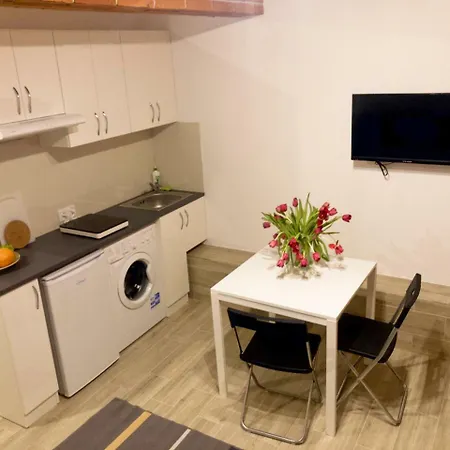 Fox Center Apartament *