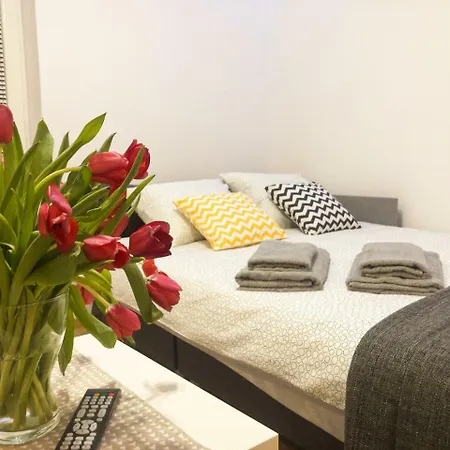 Fox Center Apartament *